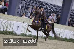 25R13_11266 thumbnail