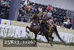 25R13_11267 thumbnail