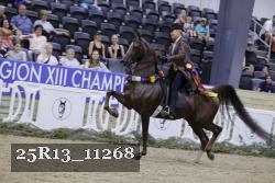 25R13_11268 thumbnail