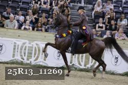 25R13_11269 thumbnail