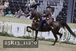 25R13_11270 thumbnail