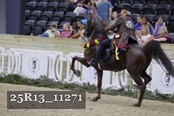 25R13_11271 thumbnail