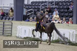 25R13_11272 thumbnail