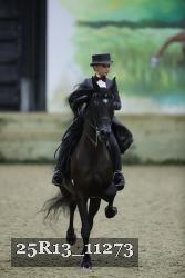 25R13_11273 thumbnail
