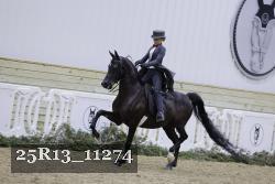 25R13_11274 thumbnail