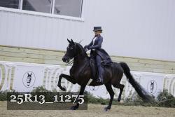 25R13_11275 thumbnail