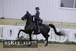 25R13_11277 thumbnail