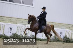 25R13_11279 thumbnail