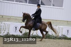 25R13_11280 thumbnail