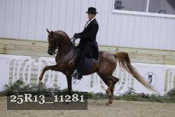 25R13_11281 thumbnail