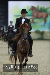 25R13_11283 thumbnail
