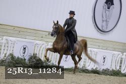 25R13_11284 thumbnail