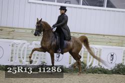 25R13_11286 thumbnail