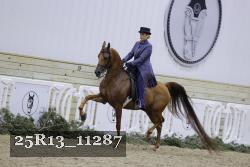 25R13_11287 thumbnail