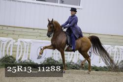 25R13_11288 thumbnail