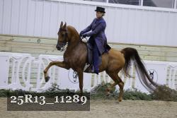25R13_11289 thumbnail