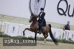 25R13_11291 thumbnail