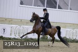 25R13_11293 thumbnail