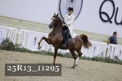 25R13_11295 thumbnail