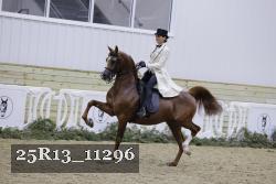 25R13_11296 thumbnail