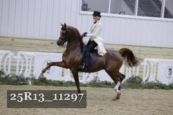 25R13_11297 thumbnail