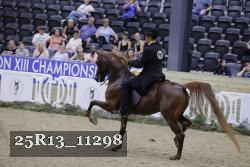 25R13_11298 thumbnail