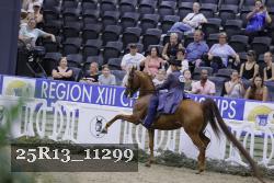 25R13_11299 thumbnail