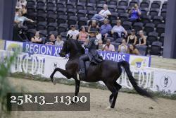 25R13_11300 thumbnail