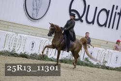 25R13_11301 thumbnail