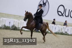 25R13_11302 thumbnail