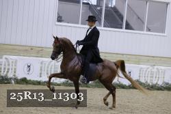 25R13_11303 thumbnail