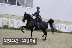 25R13_11304 thumbnail