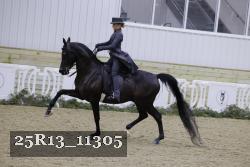 25R13_11305 thumbnail