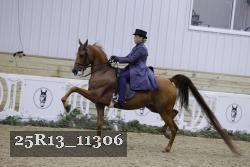 25R13_11306 thumbnail