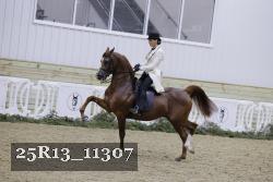 25R13_11307 thumbnail