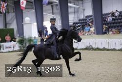 25R13_11308 thumbnail