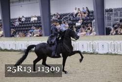 25R13_11309 thumbnail