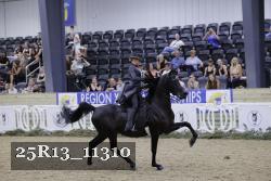 25R13_11310 thumbnail