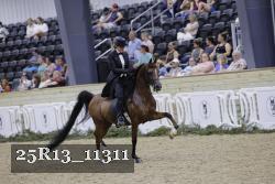25R13_11311 thumbnail