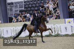 25R13_11312 thumbnail