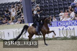 25R13_11313 thumbnail