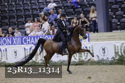 25R13_11314 thumbnail