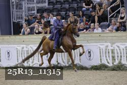 25R13_11315 thumbnail