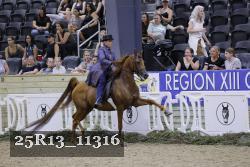 25R13_11316 thumbnail