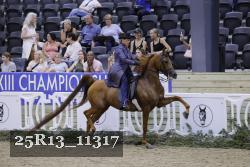 25R13_11317 thumbnail