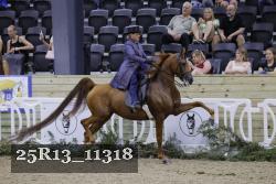 25R13_11318 thumbnail