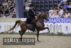 25R13_11319 thumbnail