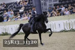 25R13_11320 thumbnail