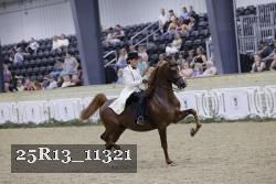 25R13_11321 thumbnail