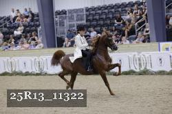 25R13_11322 thumbnail